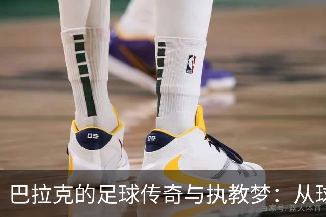 巴拉克的足球传奇与执教梦：从球场到教练席的调皮之路